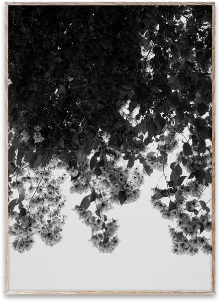 FLOWERS Poster 50x70