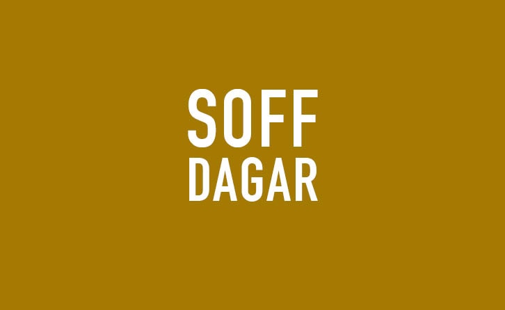 Soffdagar